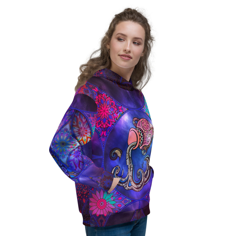 Horoscope Aquarius Unisex Hoodie